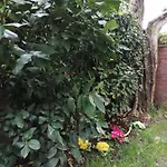 Casa Nonnanna - Nonnanna