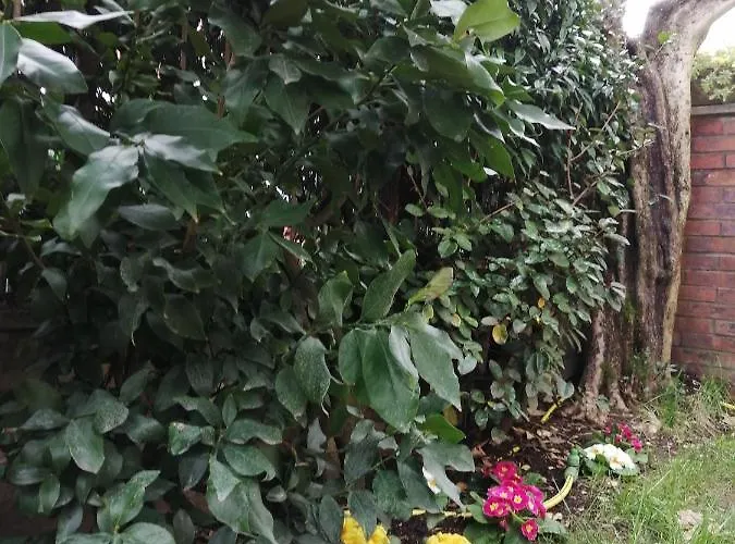 Casa Nonnanna - Nonnanna